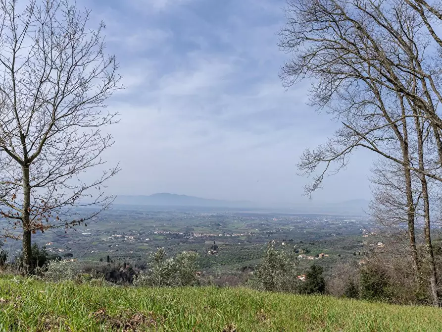 Immagine 6 di Terreno agricolo in vendita  a Vinci