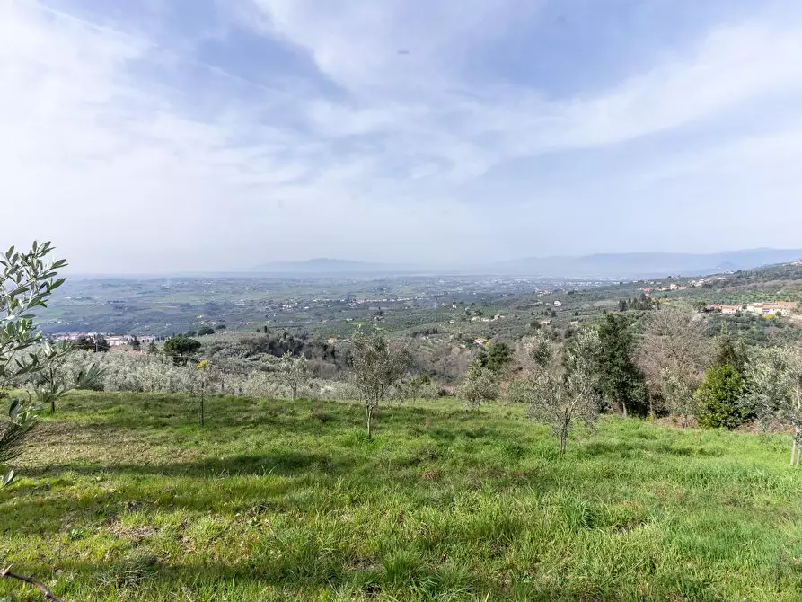 Immagine 18 di Terreno agricolo in vendita  a Vinci