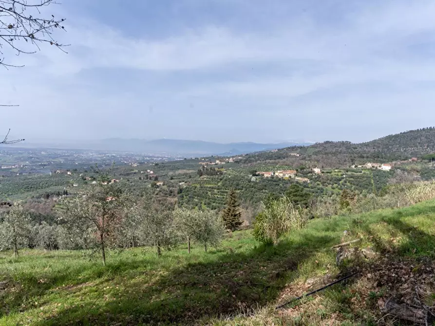 Immagine 15 di Terreno agricolo in vendita  a Vinci