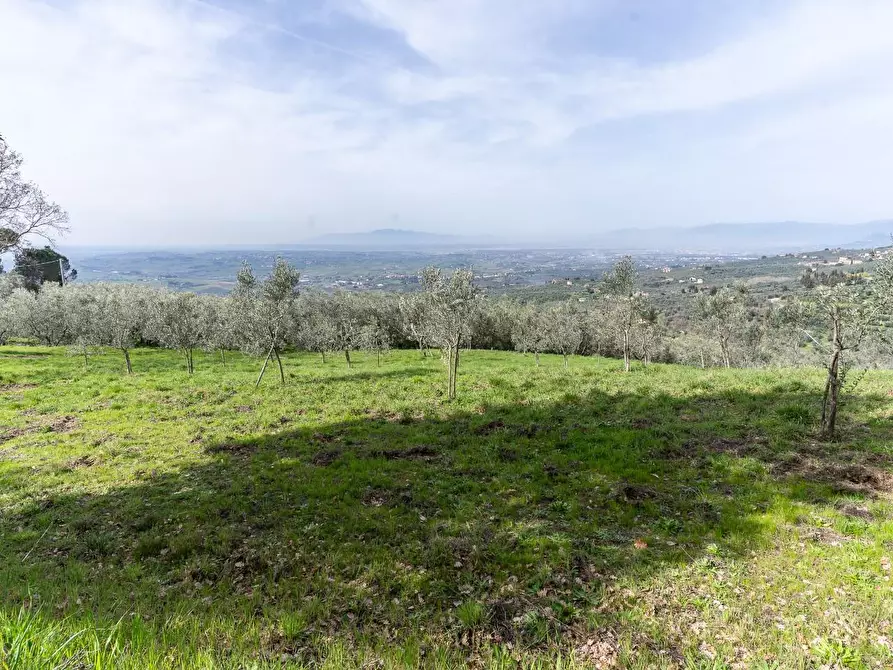 Immagine 14 di Terreno agricolo in vendita  a Vinci