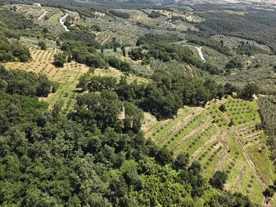 Immagine 2 di Terreno agricolo in vendita  a Vinci