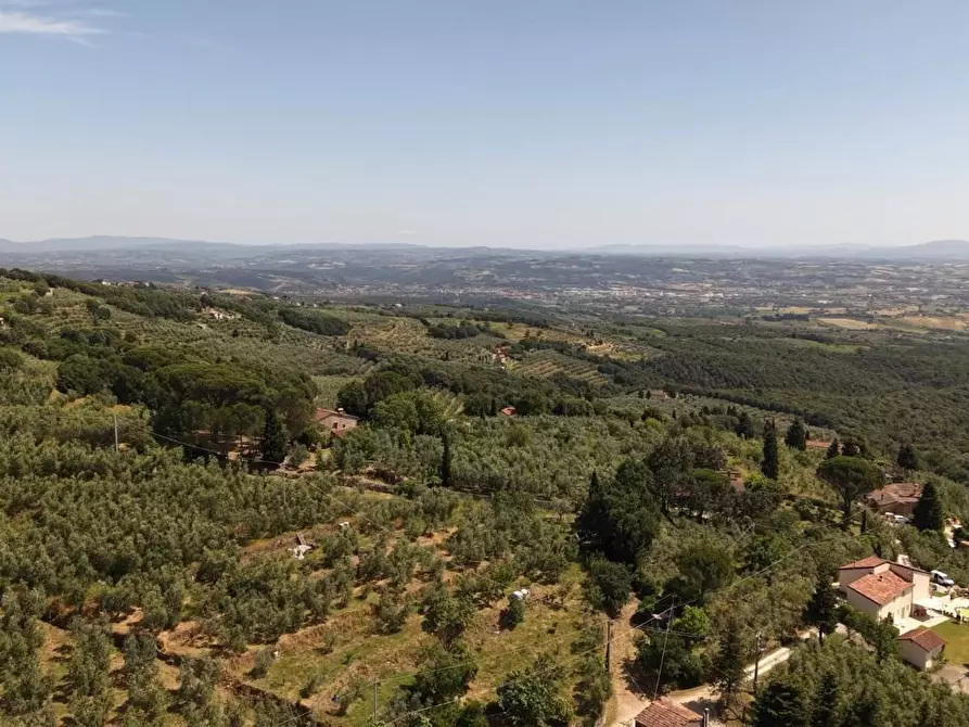 Immagine 22 di Terreno agricolo in vendita  a Vinci