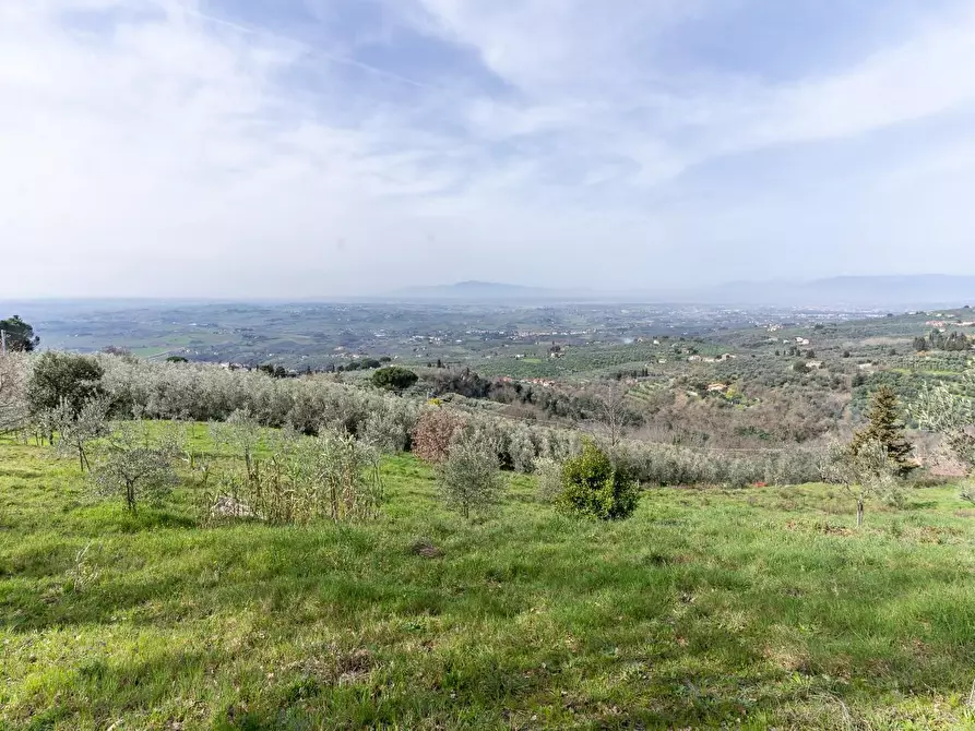 Immagine 2 di Terreno agricolo in vendita  a Vinci