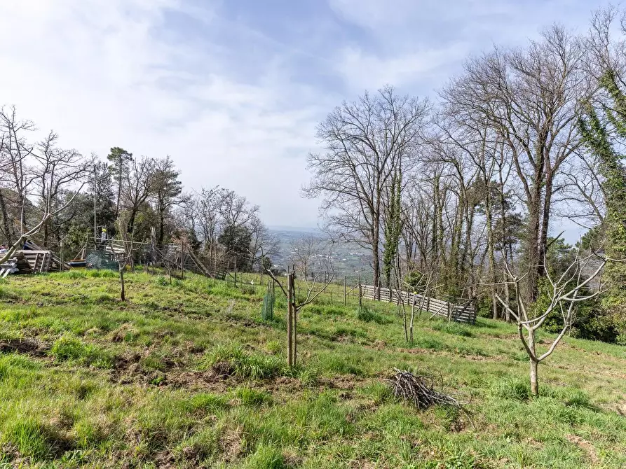 Immagine 29 di Terreno agricolo in vendita  a Vinci
