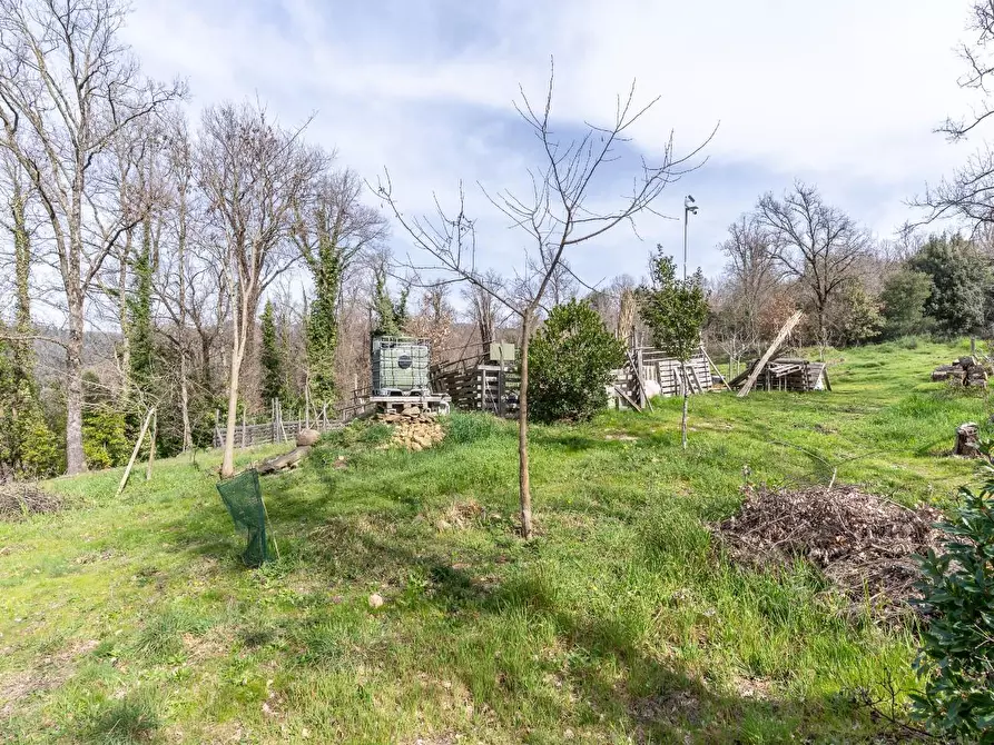Immagine 20 di Terreno agricolo in vendita  a Vinci