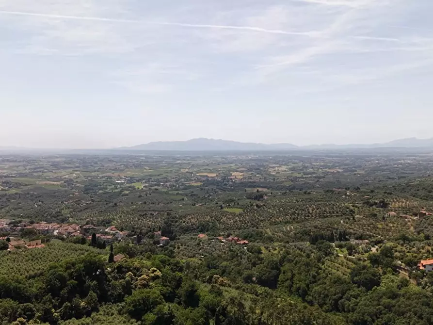Immagine 48 di Terreno agricolo in vendita  a Vinci