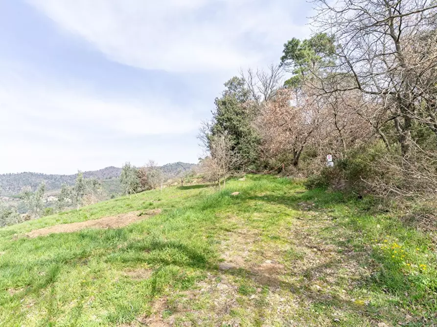 Immagine 36 di Terreno agricolo in vendita  a Vinci