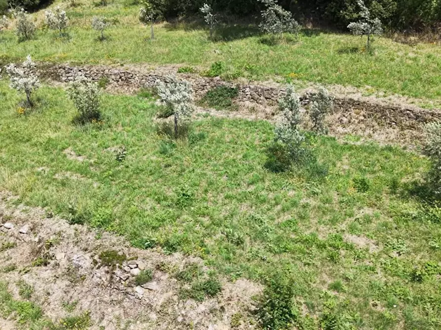 Immagine 23 di Terreno agricolo in vendita  a Vinci