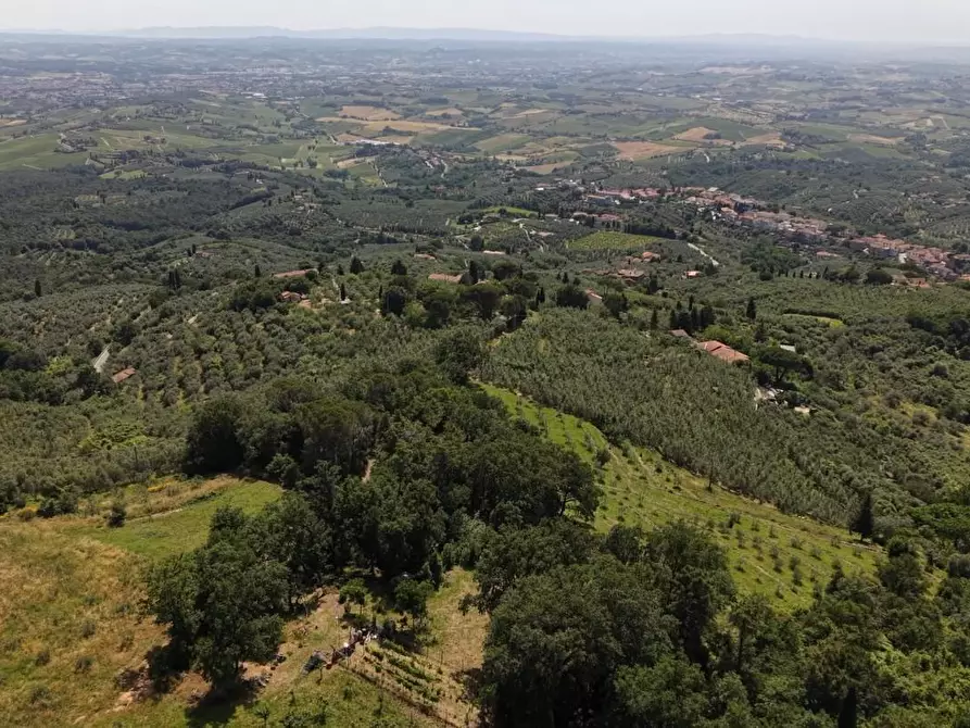 Immagine 21 di Terreno agricolo in vendita  a Vinci