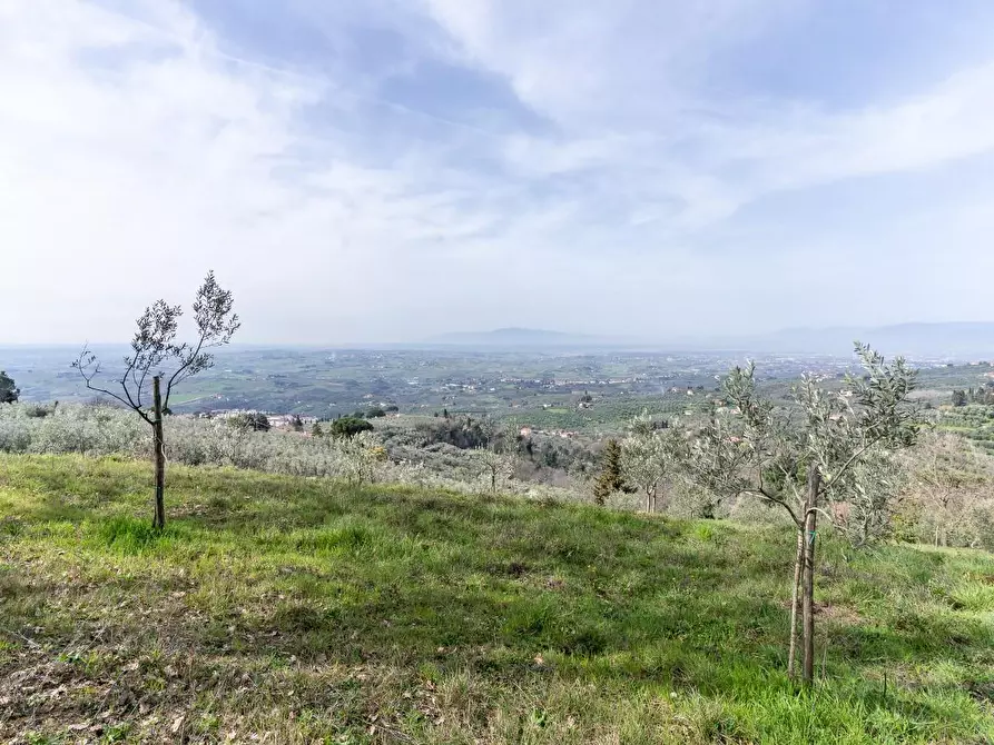 Immagine 17 di Terreno agricolo in vendita  a Vinci