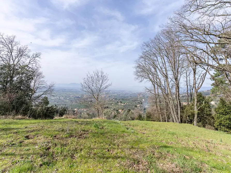 Immagine 4 di Terreno agricolo in vendita  a Vinci