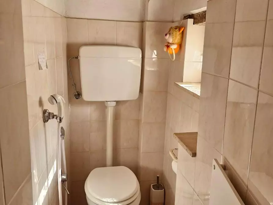 Immagine 14 di Appartamento in vendita  a Campiglia Marittima