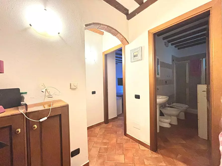 Immagine 4 di Appartamento in vendita  a Terricciola