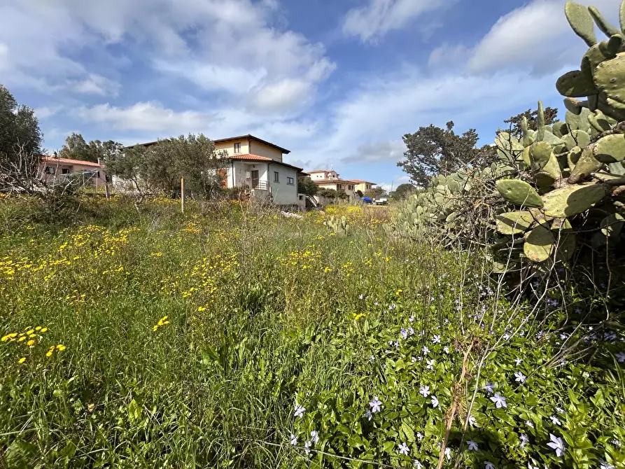 Immagine 23 di Terreno residenziale in vendita  a Luogosanto