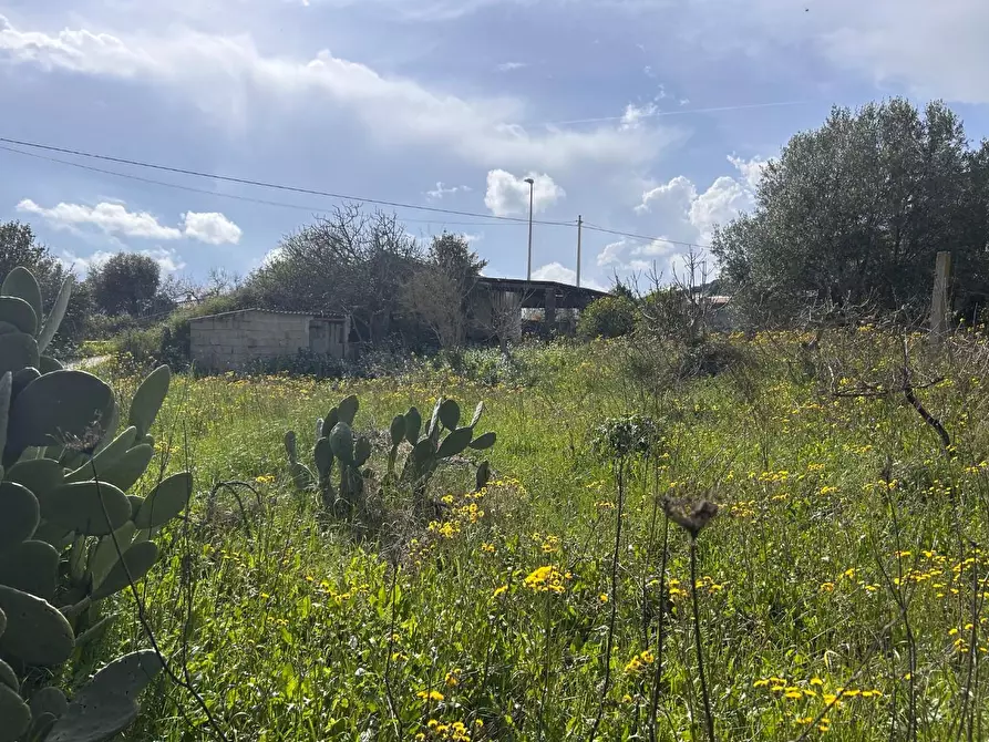 Immagine 15 di Terreno residenziale in vendita  a Luogosanto