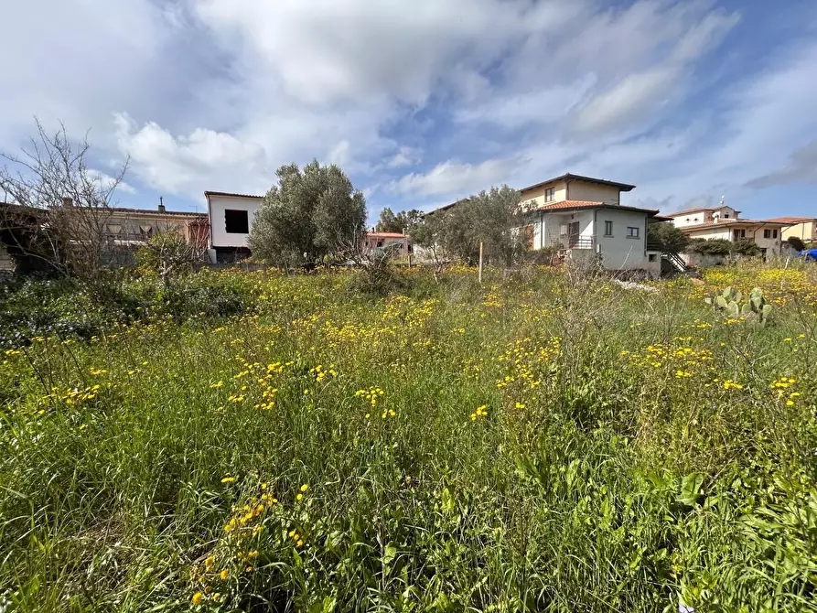 Immagine 22 di Terreno residenziale in vendita  a Luogosanto
