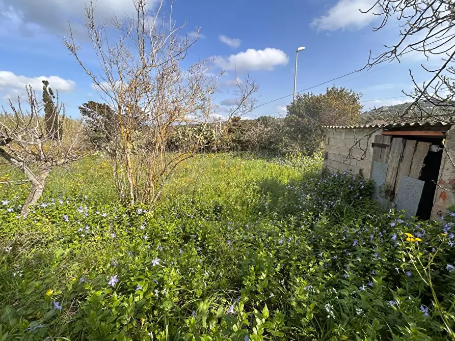 Immagine 27 di Terreno residenziale in vendita  a Luogosanto