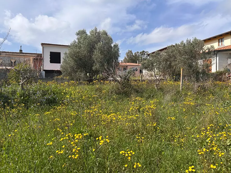 Immagine 17 di Terreno residenziale in vendita  a Luogosanto