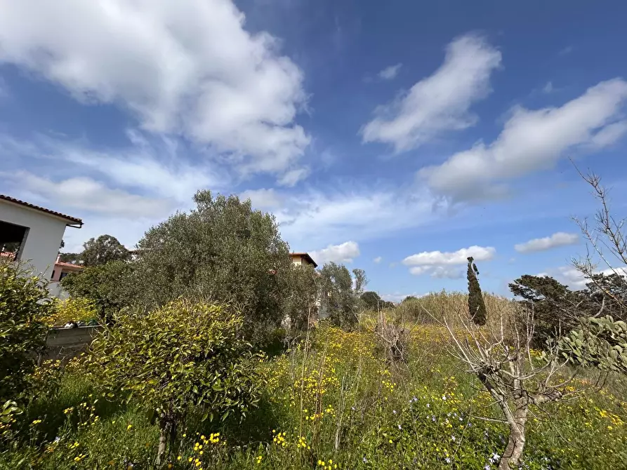 Immagine 29 di Terreno residenziale in vendita  a Luogosanto