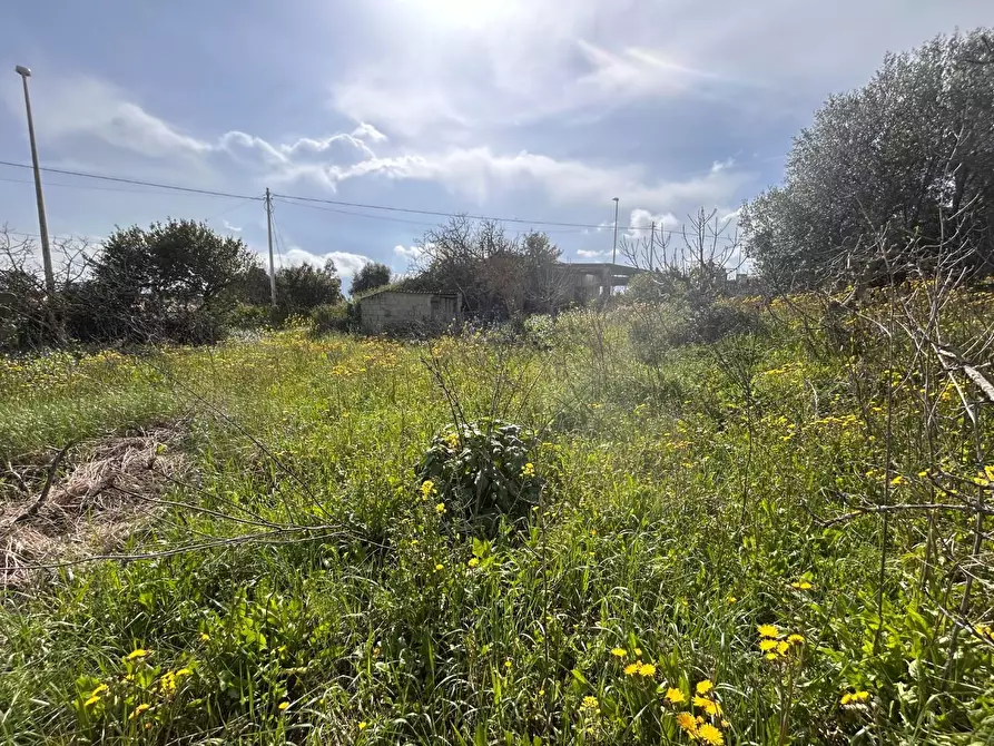 Immagine 11 di Terreno residenziale in vendita  a Luogosanto