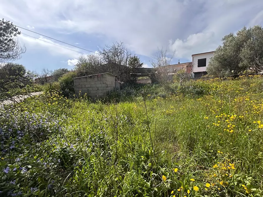 Immagine 21 di Terreno residenziale in vendita  a Luogosanto