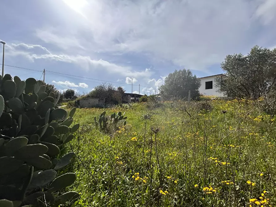 Immagine 14 di Terreno residenziale in vendita  a Luogosanto