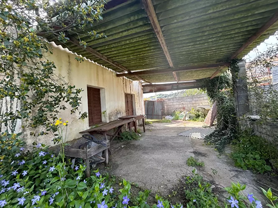 Immagine 28 di Terreno residenziale in vendita  a Luogosanto