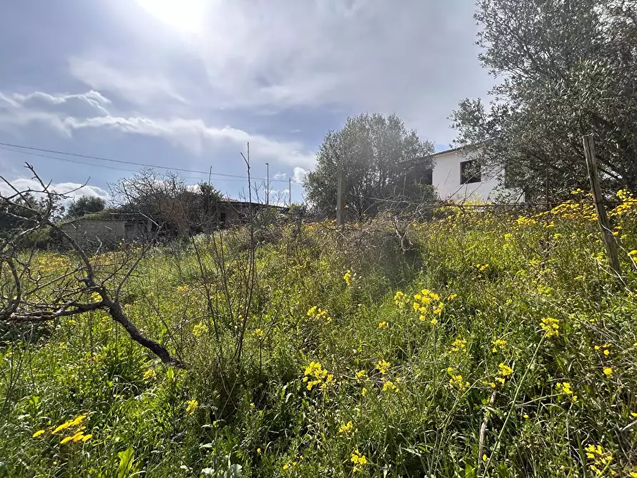 Immagine 12 di Terreno residenziale in vendita  a Luogosanto