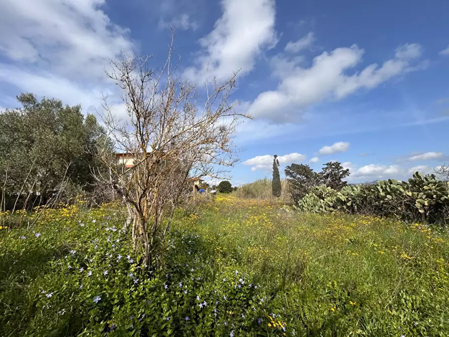 Immagine 25 di Terreno residenziale in vendita  a Luogosanto
