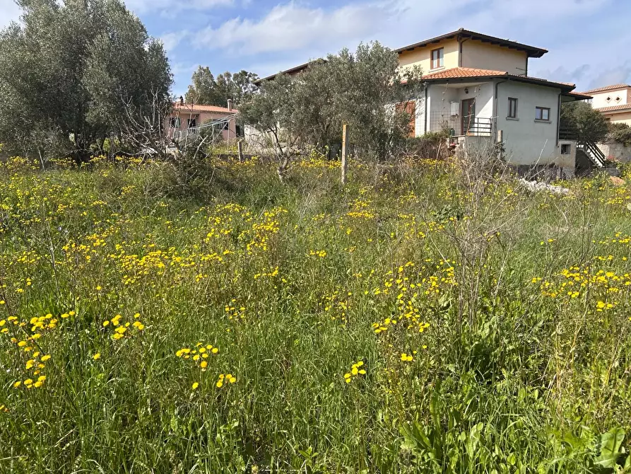 Immagine 1 di Terreno residenziale in vendita  a Luogosanto