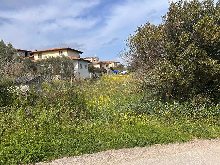 Immagine 4 di Terreno residenziale in vendita  a Luogosanto