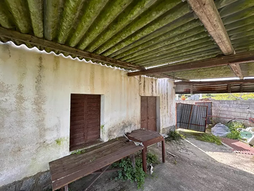 Immagine 9 di Terreno residenziale in vendita  a Luogosanto