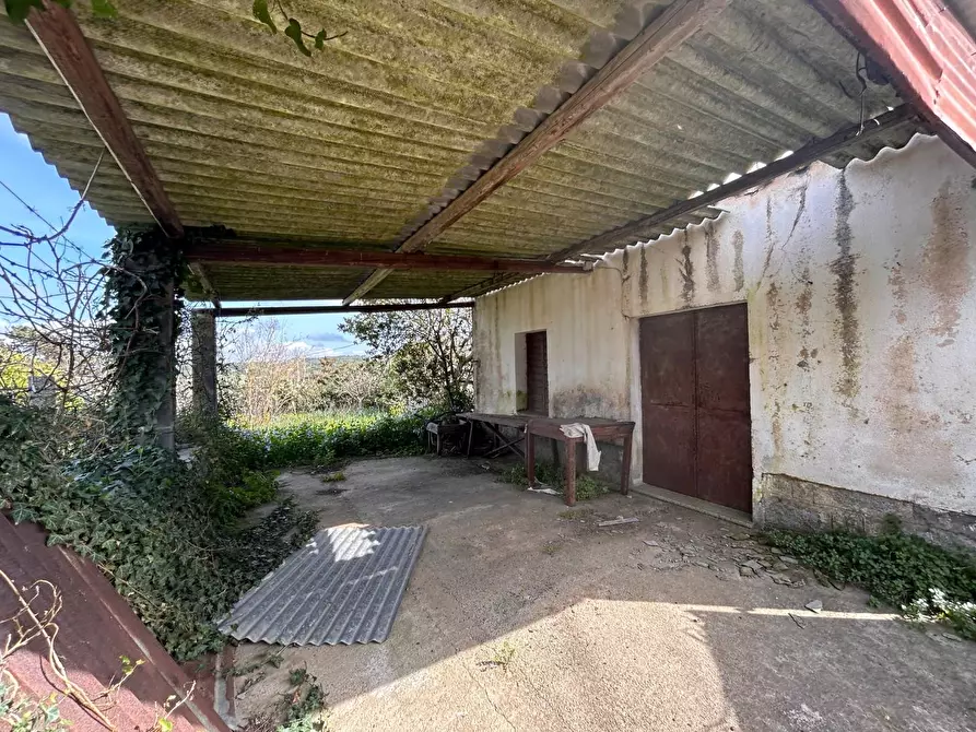 Immagine 8 di Terreno residenziale in vendita  a Luogosanto