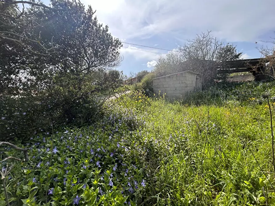 Immagine 20 di Terreno residenziale in vendita  a Luogosanto