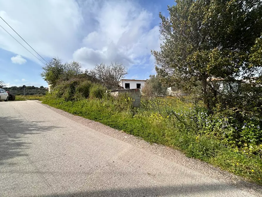 Immagine 5 di Terreno residenziale in vendita  a Luogosanto