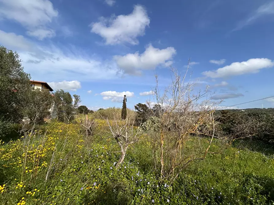 Immagine 30 di Terreno residenziale in vendita  a Luogosanto