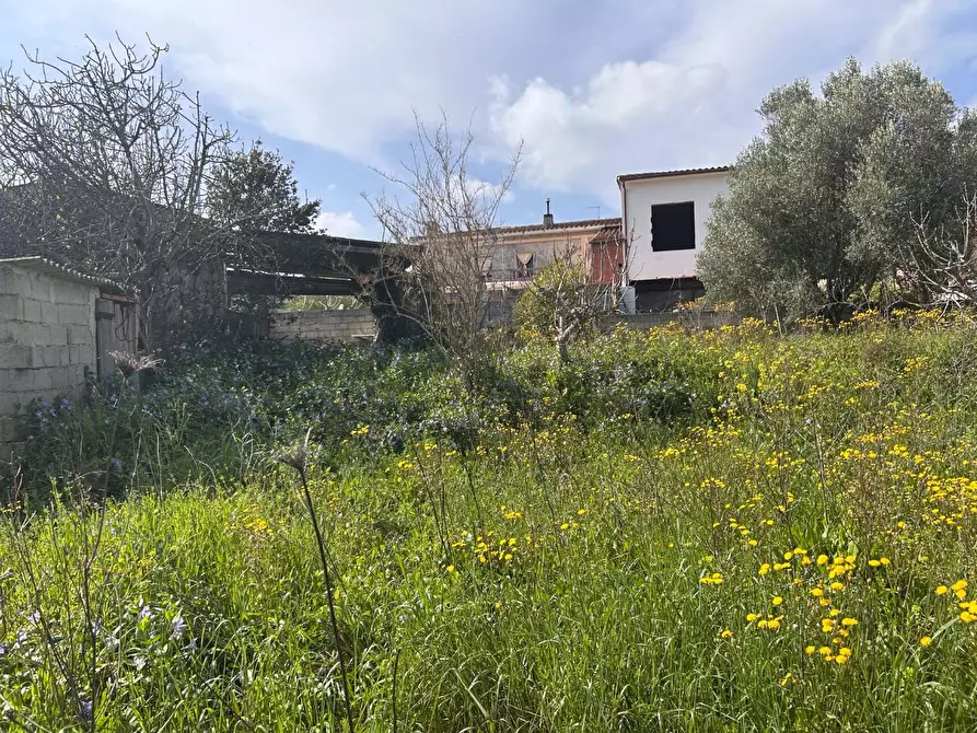 Immagine 18 di Terreno residenziale in vendita  a Luogosanto