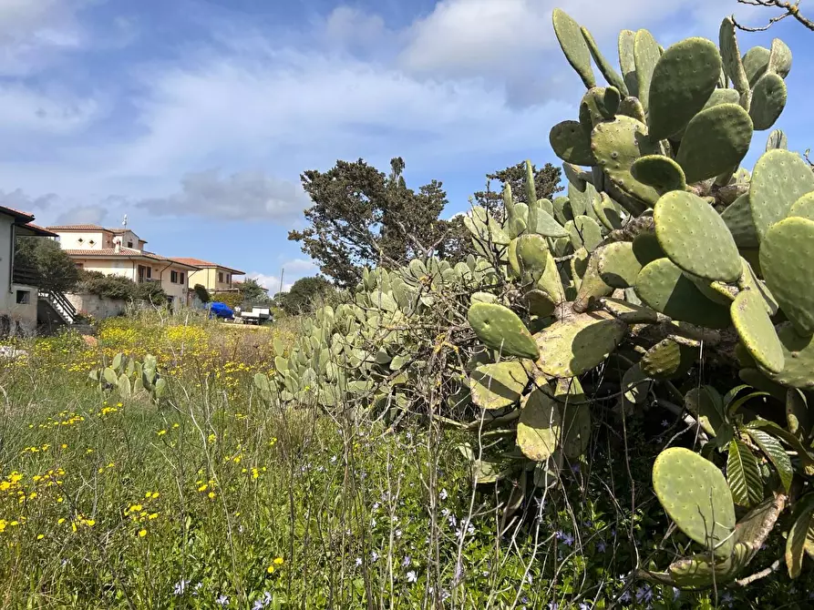 Immagine 16 di Terreno residenziale in vendita  a Luogosanto