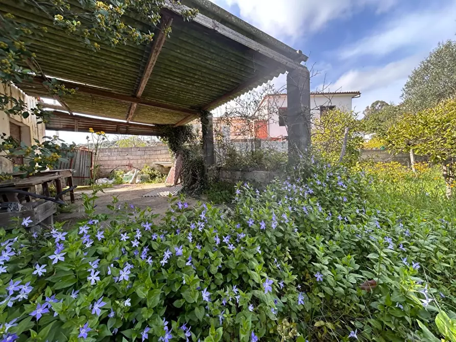 Immagine 26 di Terreno residenziale in vendita  a Luogosanto