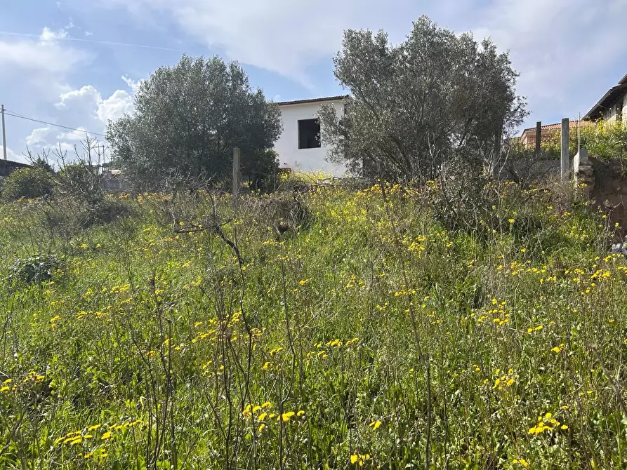 Immagine 13 di Terreno residenziale in vendita  a Luogosanto