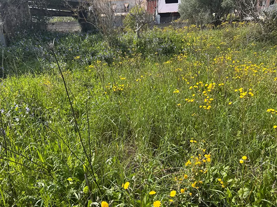 Immagine 19 di Terreno residenziale in vendita  a Luogosanto