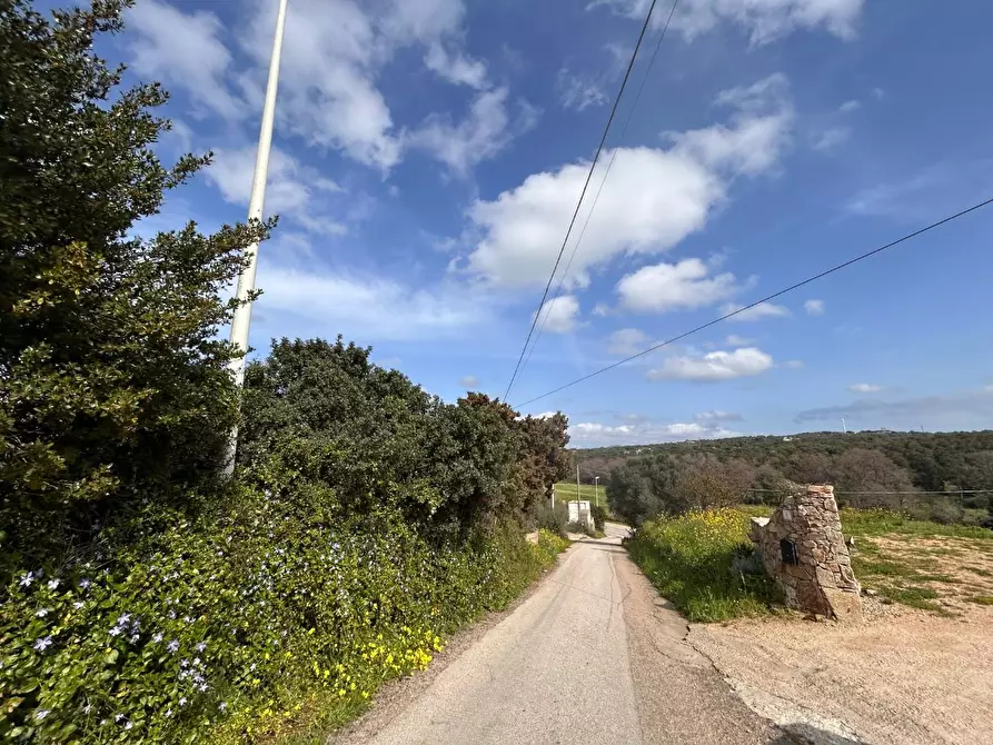 Immagine 6 di Terreno residenziale in vendita  a Luogosanto