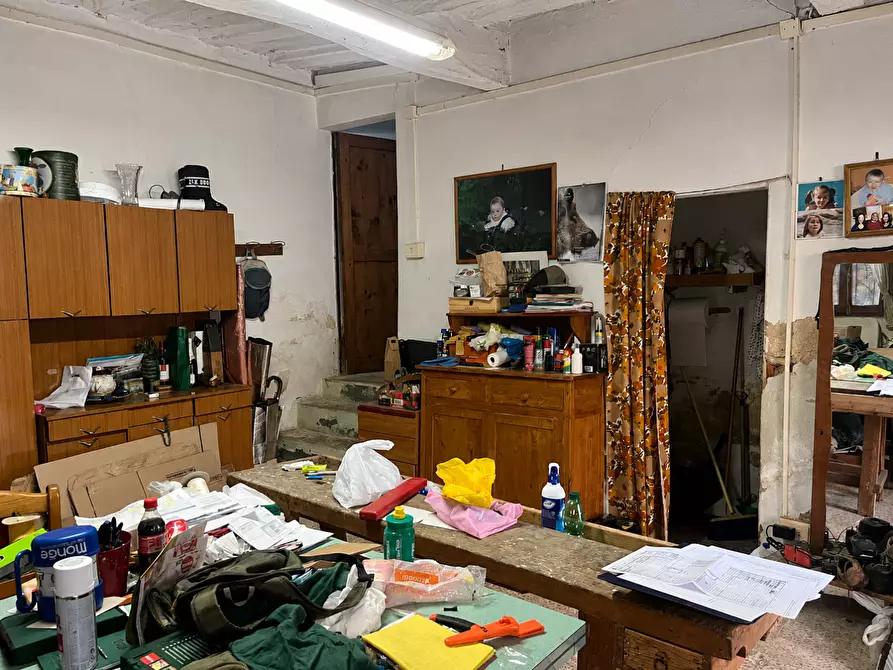 Immagine 3 di Terratetto in vendita  a Palaia