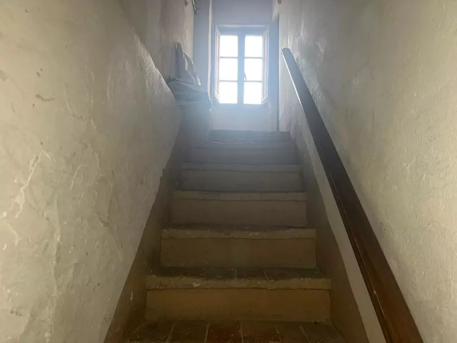 Immagine 4 di Terratetto in vendita  a Palaia