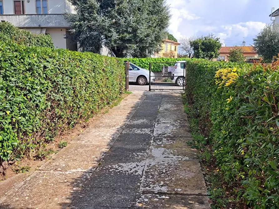 Immagine 20 di Terratetto in vendita  a Rosignano Marittimo