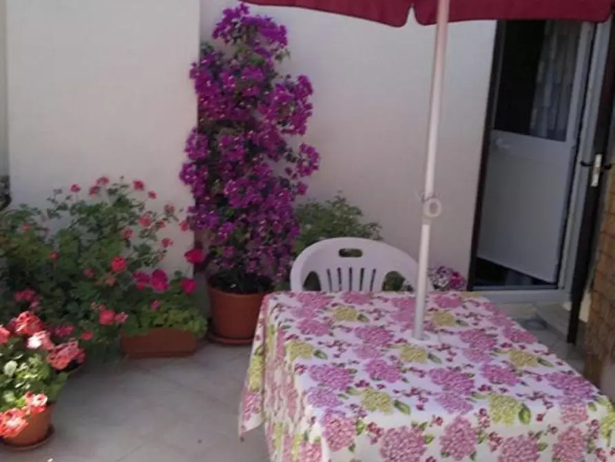 Immagine 2 di Terratetto in vendita  a Rosignano Marittimo