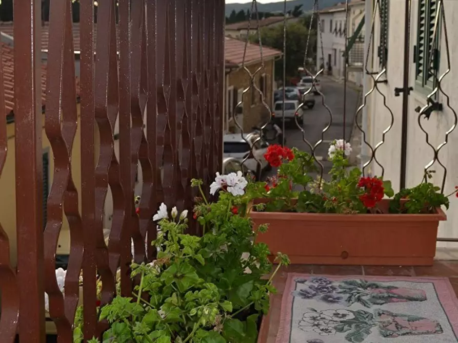 Immagine 15 di Terratetto in vendita  a Rosignano Marittimo