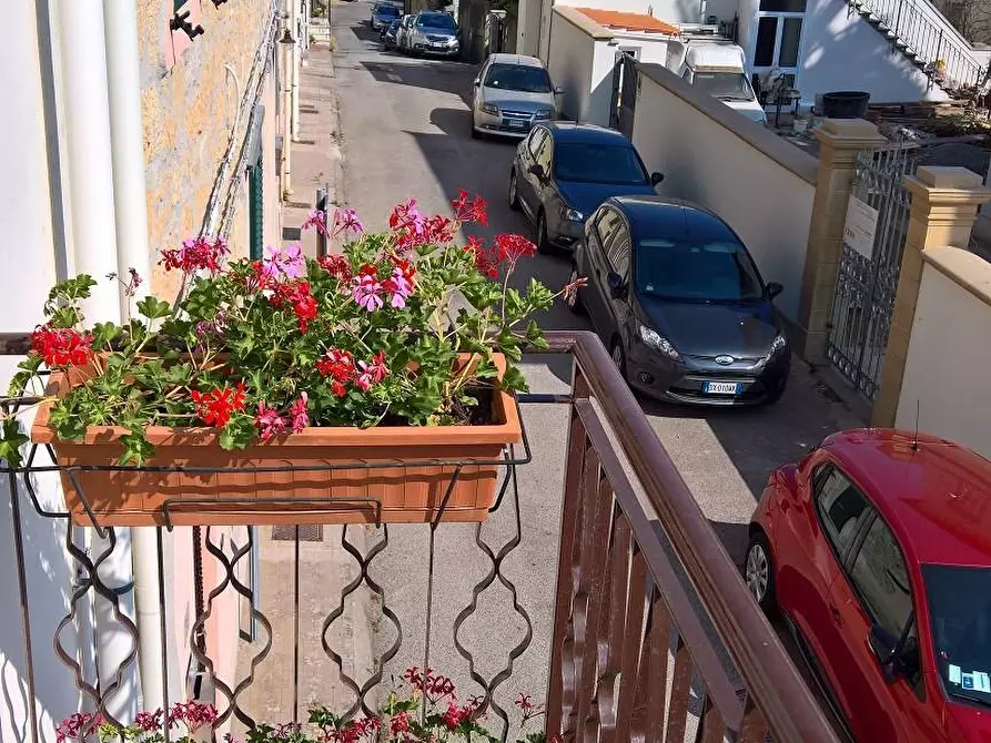 Immagine 14 di Terratetto in vendita  a Rosignano Marittimo