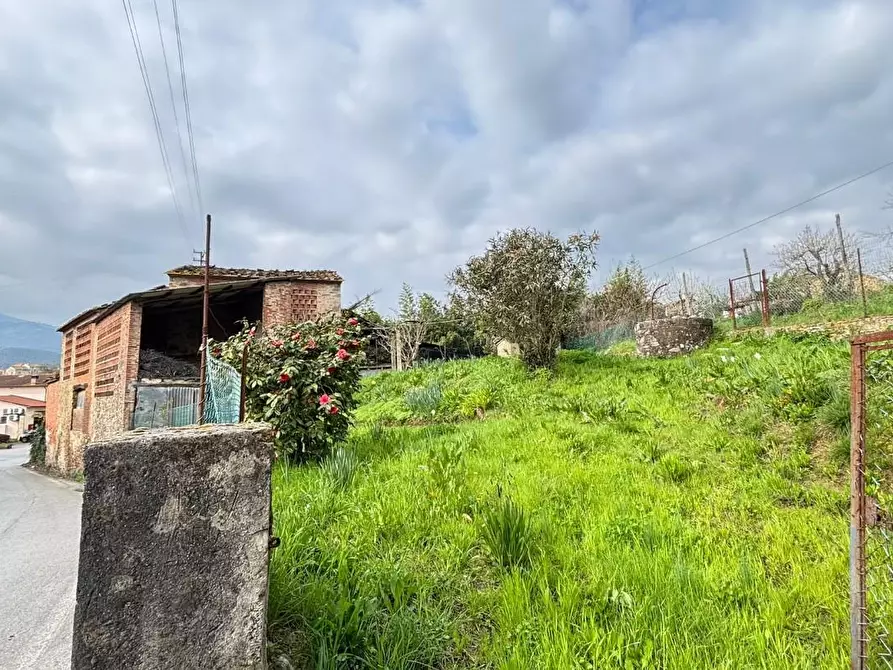 Immagine 25 di Deposito in vendita  a Capannori