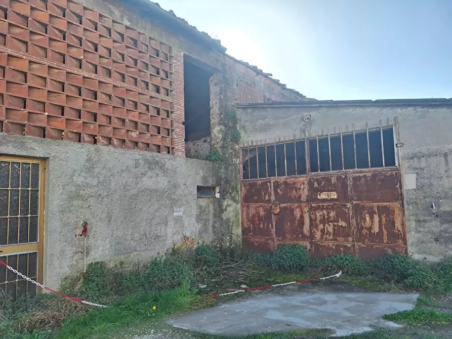 Immagine 3 di Deposito in vendita  a Capannori